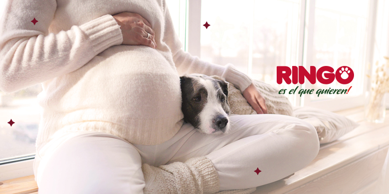 tips para preparar a tu perro para la llegada del bebé